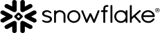 Company Logo 2